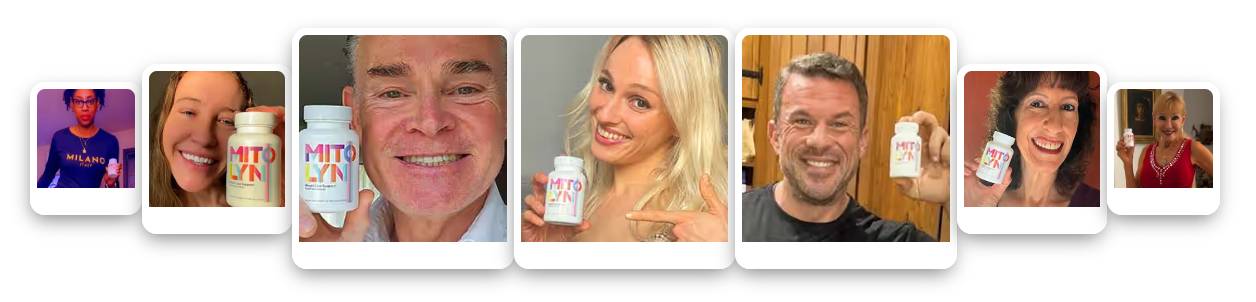 Mitolyn Weight Manage Support